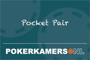 Pocket Pair