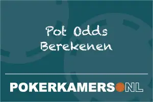 Pot Odds Berekenen