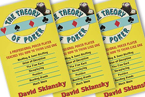 Pokerboek Omslag van The Theory of Poker